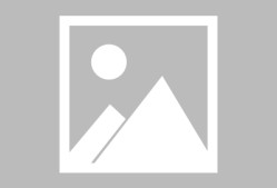 关于德甲赛程吃紧，巴黎圣日耳曼今夜调整名单，管理层满意，团队化学反应显著的信息